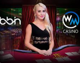 新普京com电脑免费版